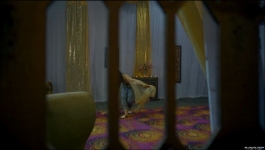 Shaitani Rasmein - 26th June 2024